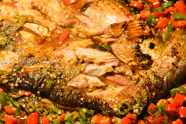 1503725883-771002095_n.jpg?v=1503726227