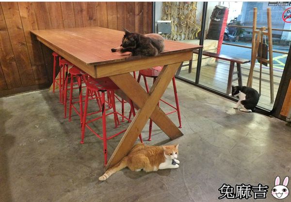 1501989828-3095729242_n.jpg?v=1501990137