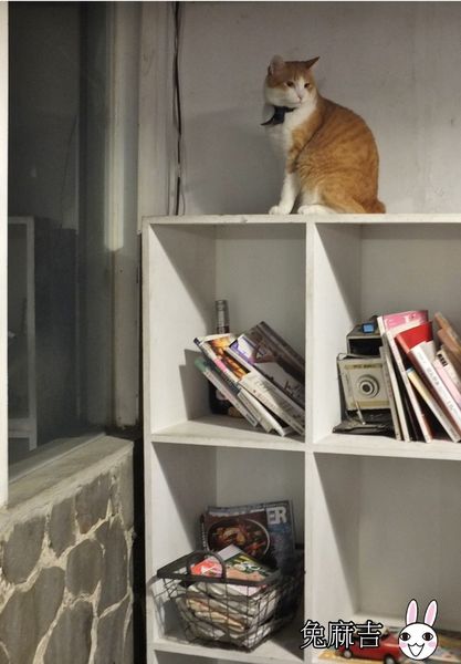 1501989753-3404696344_n.jpg?v=1501990139