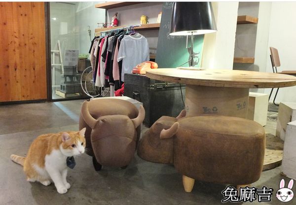 1501989772-2629849102_n.jpg?v=1501990138