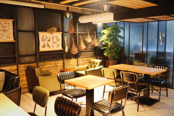 1503412673-877255720_n.jpg?v=1503413397