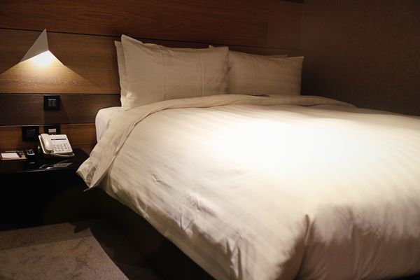 1503412440-1874393306_n.jpg?v=1503413396