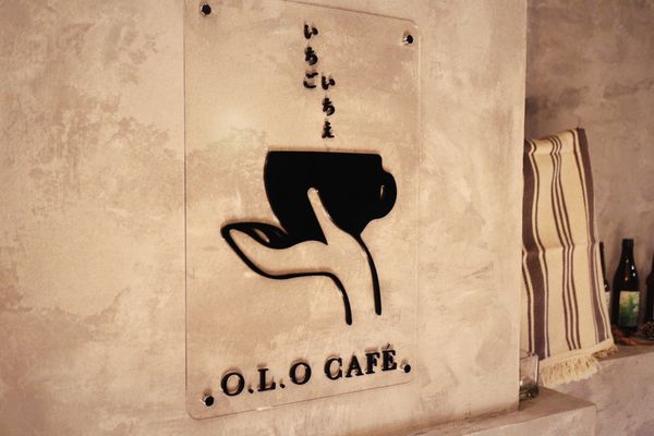 1503412605-3847468505_n.jpg?v=1503413397