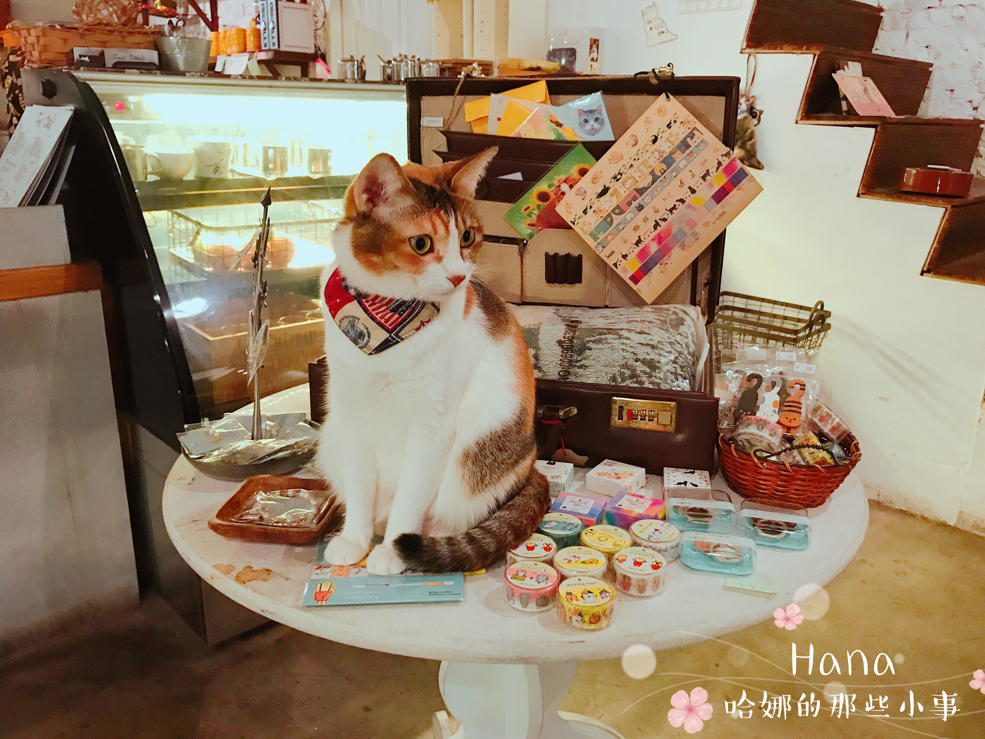 1503044726-1097578621.jpg?v=1503044729