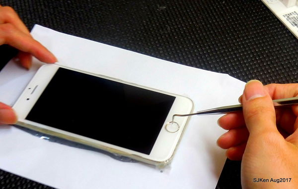 1503768991-24894432_n.jpg?v=1503769103