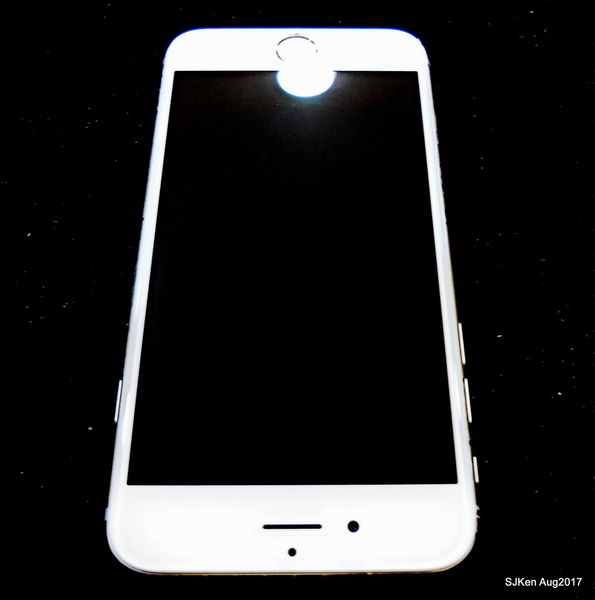 1503769039-2665422861_n.jpg?v=1503769104