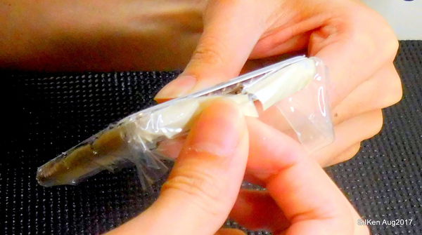 1503769012-3780314903_n.jpg?v=1503769103