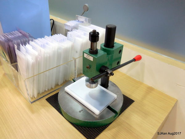 1503768864-1608624654_n.jpg?v=1503769102