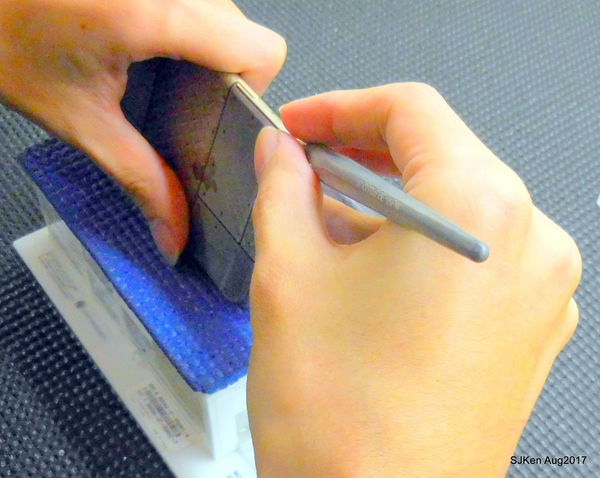 1503768910-3086111584_n.jpg?v=1503769102