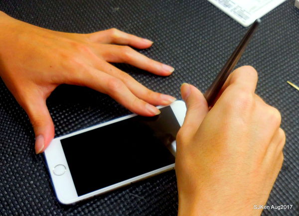 1503769019-1666106194_n.jpg?v=1503769103