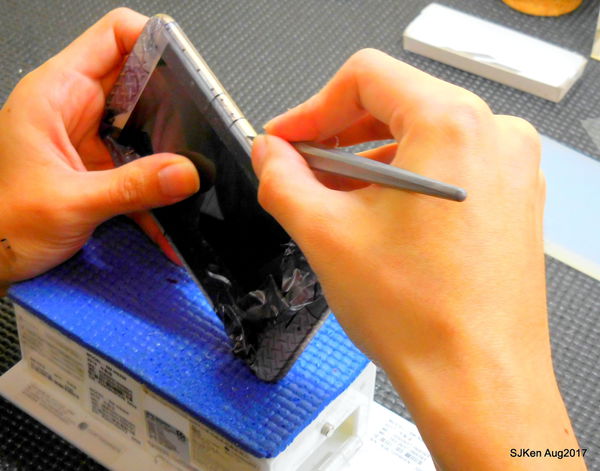 1503768743-3814924263_n.jpg?v=1503769101