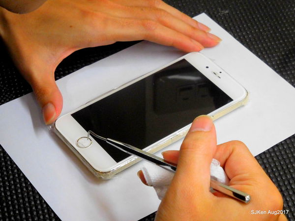 1503768989-4090186018_n.jpg?v=1503769103