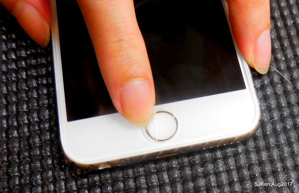 1503769026-97556913_n.jpg?v=1503769103