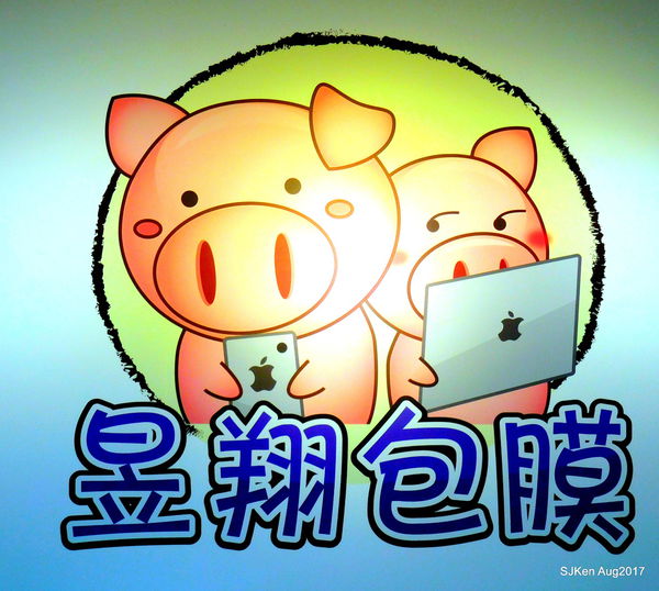 1503769052-2437732261_n.jpg?v=1503769104