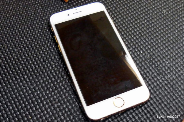 1503768933-2968941499_n.jpg?v=1503769103