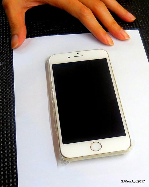 1503768969-1060145262_n.jpg?v=1503769103