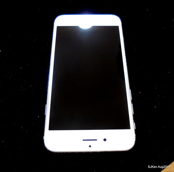 1503769037-443872657_n.jpg?v=1503769104