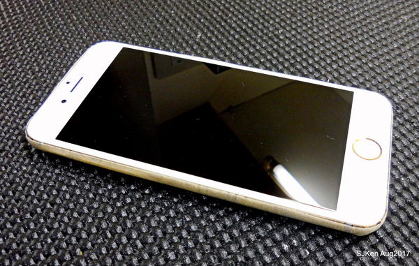 1503768939-884804769_n.jpg?v=1503769103