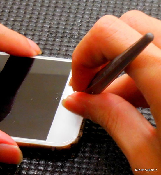 1503769023-3849355336_n.jpg?v=1503769103