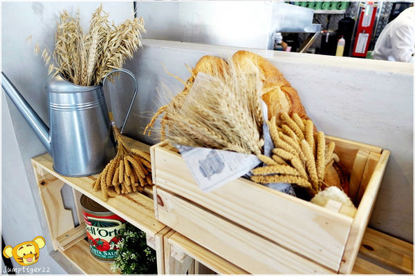 1504269110-530278189_n.jpg?v=1504269236