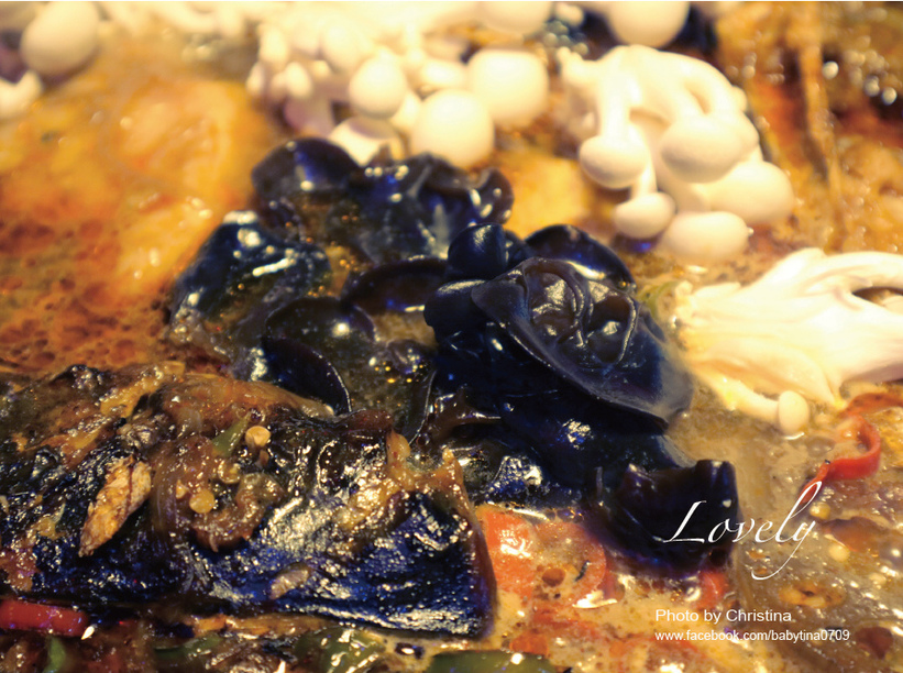 1501683401-235412603.jpg?v=1501683434