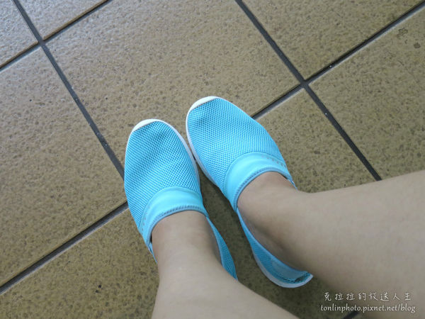 71017-1502108144-29553760_n.jpg?v=1502108319