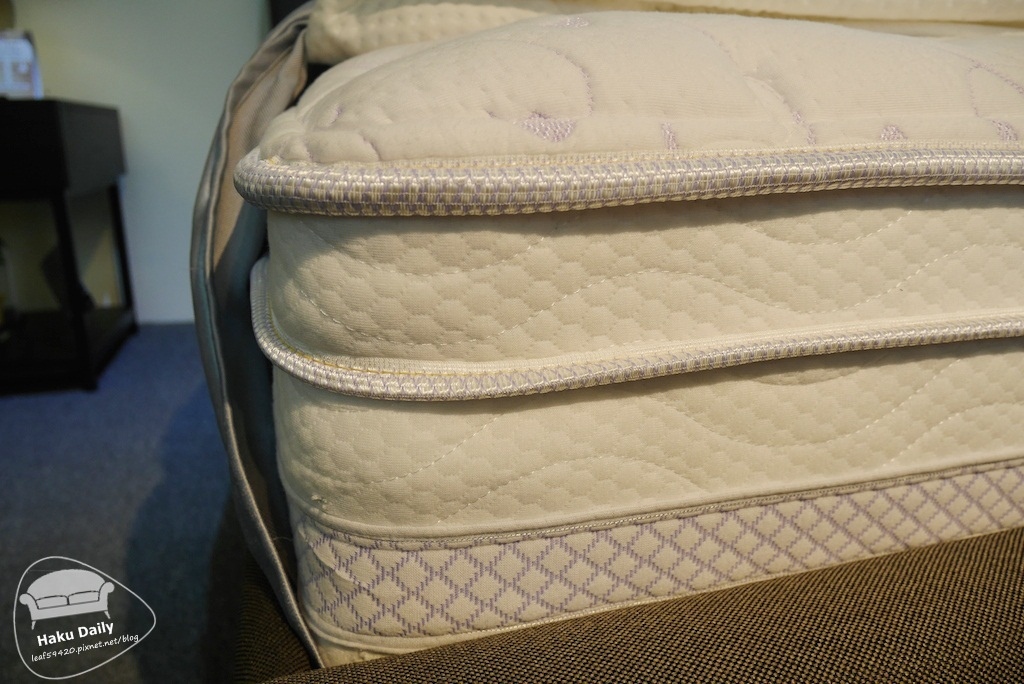 1503896638-3857408184.jpg?v=1503896707