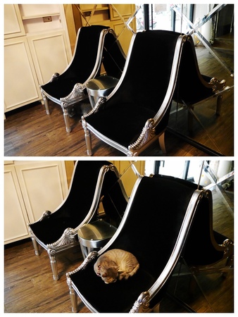 1504364867-783245705_m.jpg?v=1504365058