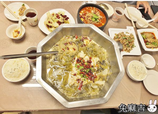 1501856207-2756647235_n.jpg?v=1501856336