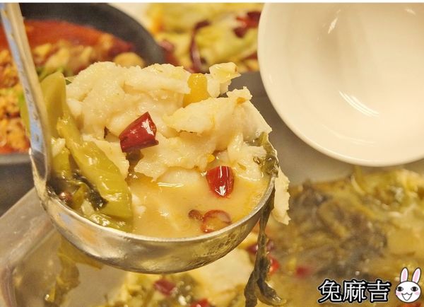 1501856200-3485287537_n.jpg?v=1501856336