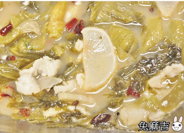 1501856195-1005212511_n.jpg?v=1501856336