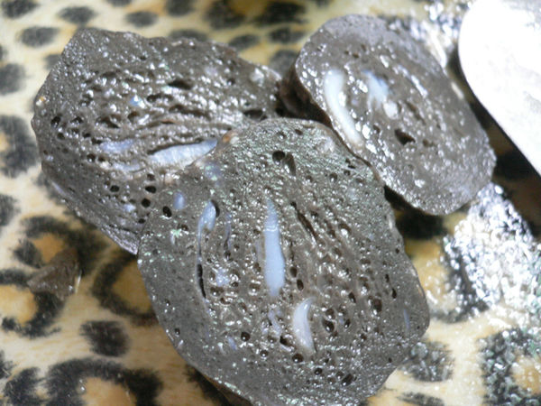 1503757546-1065348076_n.jpg?v=1503757637