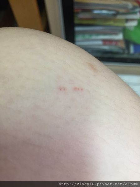 1505385519-3729307075_n.jpg?v=1505385521