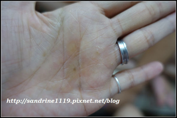 1504835301-4290106300_n.jpg?v=1504835302