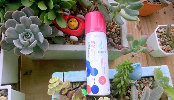 1504753572-108168923_n.jpg?v=1504753593