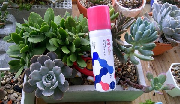 1504753571-1783422999_n.jpg?v=1504753593