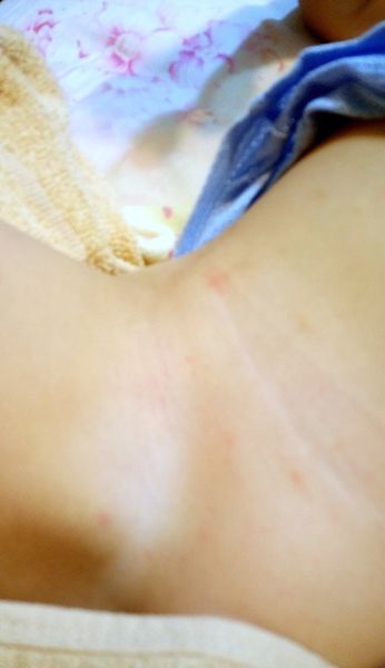 1504753570-3744958631_n.jpg?v=1504753593