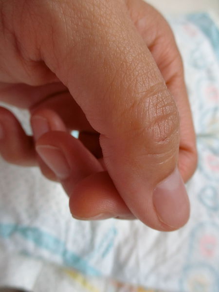 1504508446-879466627_n.jpg?v=1504508447