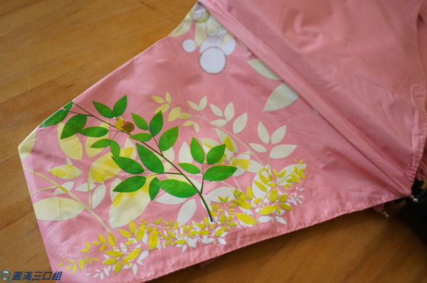 1504449556-2294351273_n.jpg?v=1504449741