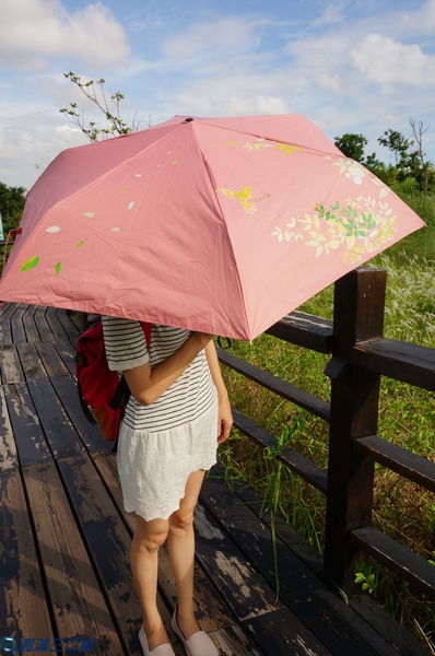 1504449614-2326213075_n.jpg?v=1504449741