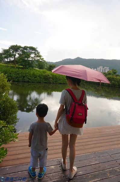 1504449589-3297627025_n.jpg?v=1504449741