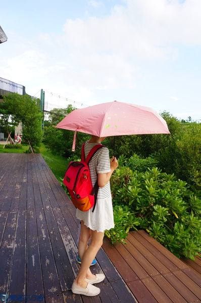 1504449595-746493355_n.jpg?v=1504449741