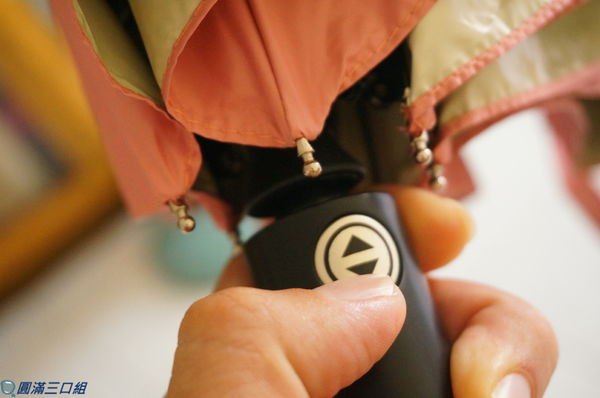 1504449557-82957703_n.jpg?v=1504449741