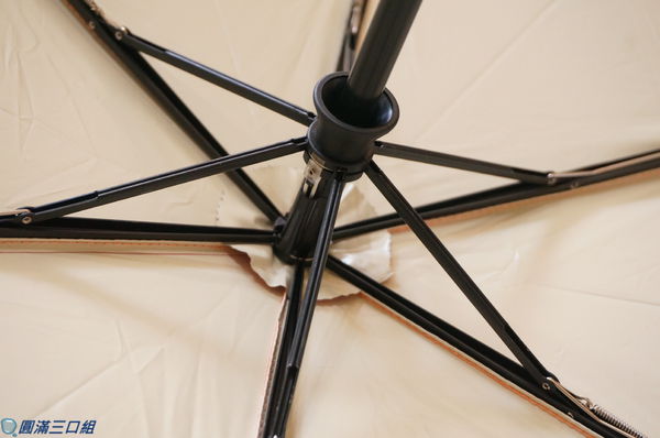 1504449572-1751323488_n.jpg?v=1504449741