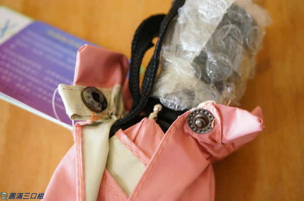 1504449527-374899049_n.jpg?v=1504449740