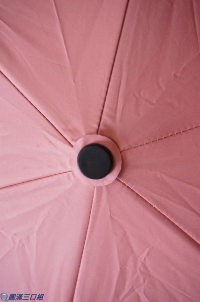 1504449562-3506006529_n.jpg?v=1504449741