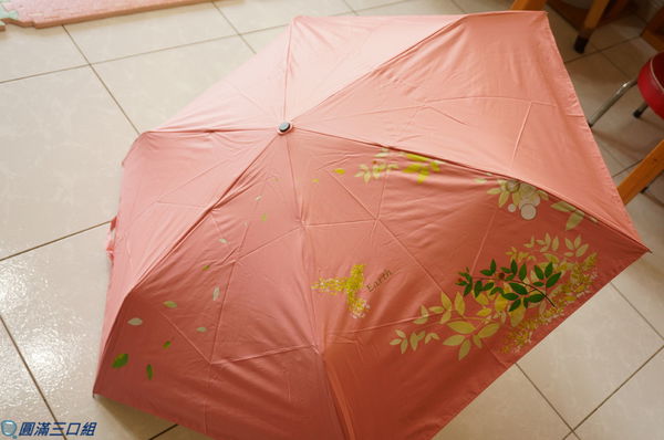 1504449559-4165833749_n.jpg?v=1504449741