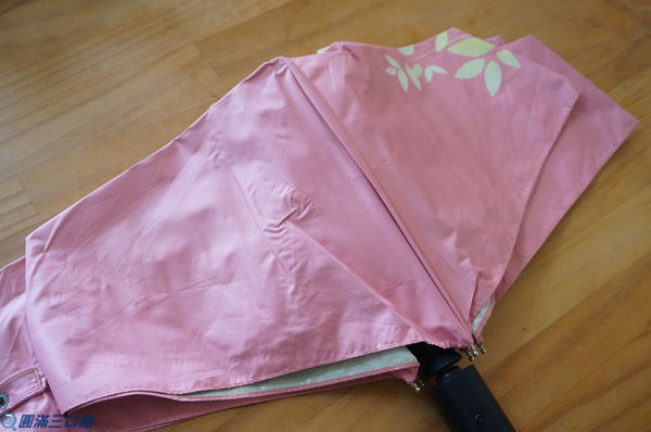 1504449554-3756528409_n.jpg?v=1504449740