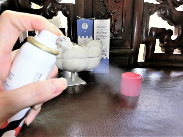 1504495755-1939871259_n.jpg?v=1504495773