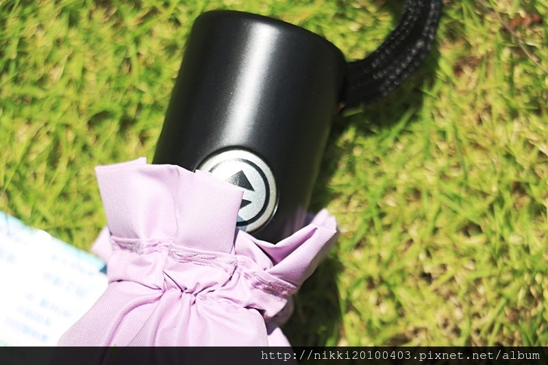 1503581217-3662671585.jpg?v=1503581269